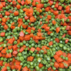 Maplewoo - FRZ Peas & Carrots - 12/2Lbs